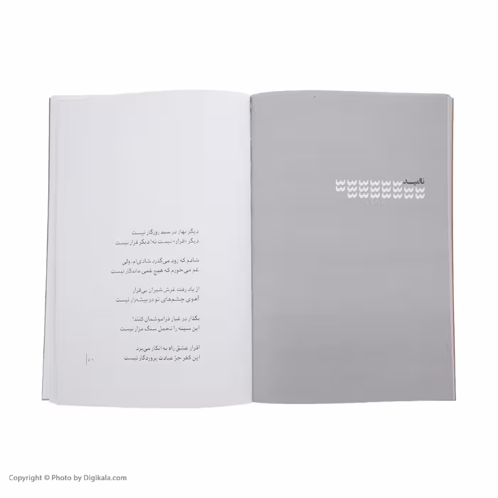 کتاب اقلیت اثر فاضل نظری انتشارات سوره مهر 