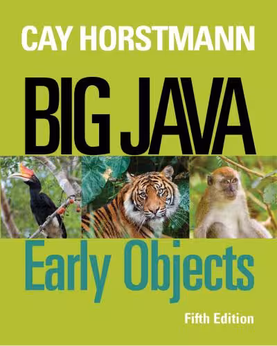 خرید و دانلود نسخه کامل کتاب Big Java: Early Objects (PDF Code)