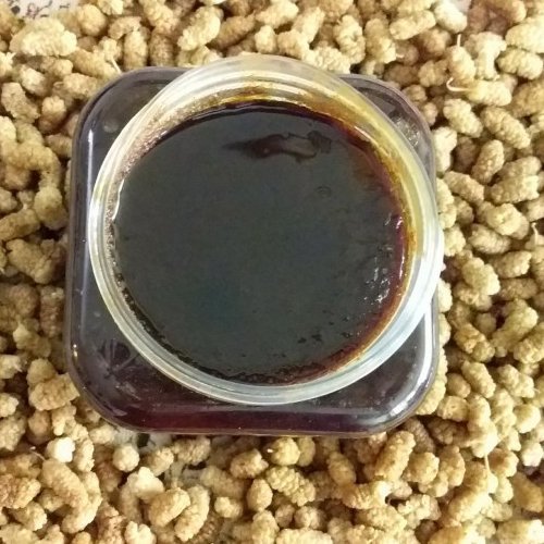 رب توت(دوشاب)1000