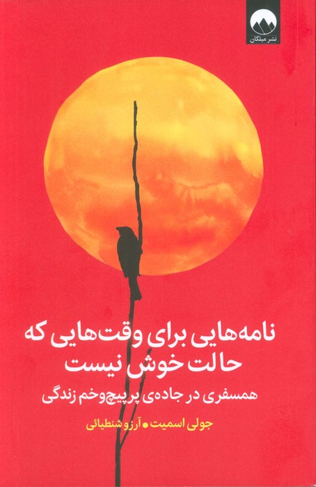 نامه هایی برای وقت هایی که حالت خوش نیست (همسفری در جاده ی پرپیچ و خم زندگی)، - ناشربوک | خرید آنلاین کتاب