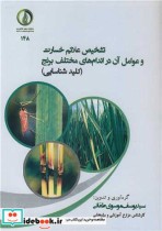 کتاب تشخیص علائم خسارت و عوامل آن در اندام های مختلف برنج | ایده بوک