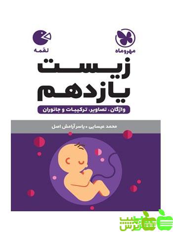 زیست یازدهم لقمه مهروماه - سیب ترش - SibTorsh | خرید با تخفیف ویژه