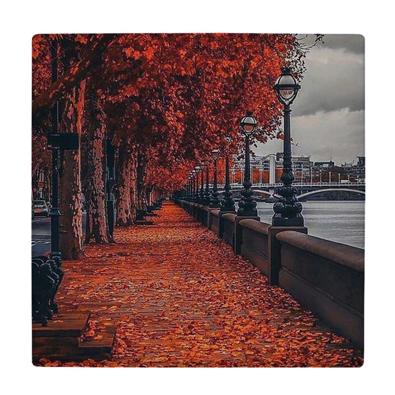  کاشی کارنیلا طرح پیاده رو پاییزی کد wkk558