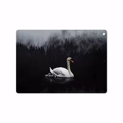 برچسب پوششی ماهوت مدل Swan Lake مناسب برای تبلت اپل iPad 9.7 (GEN 5) 2017 A1822