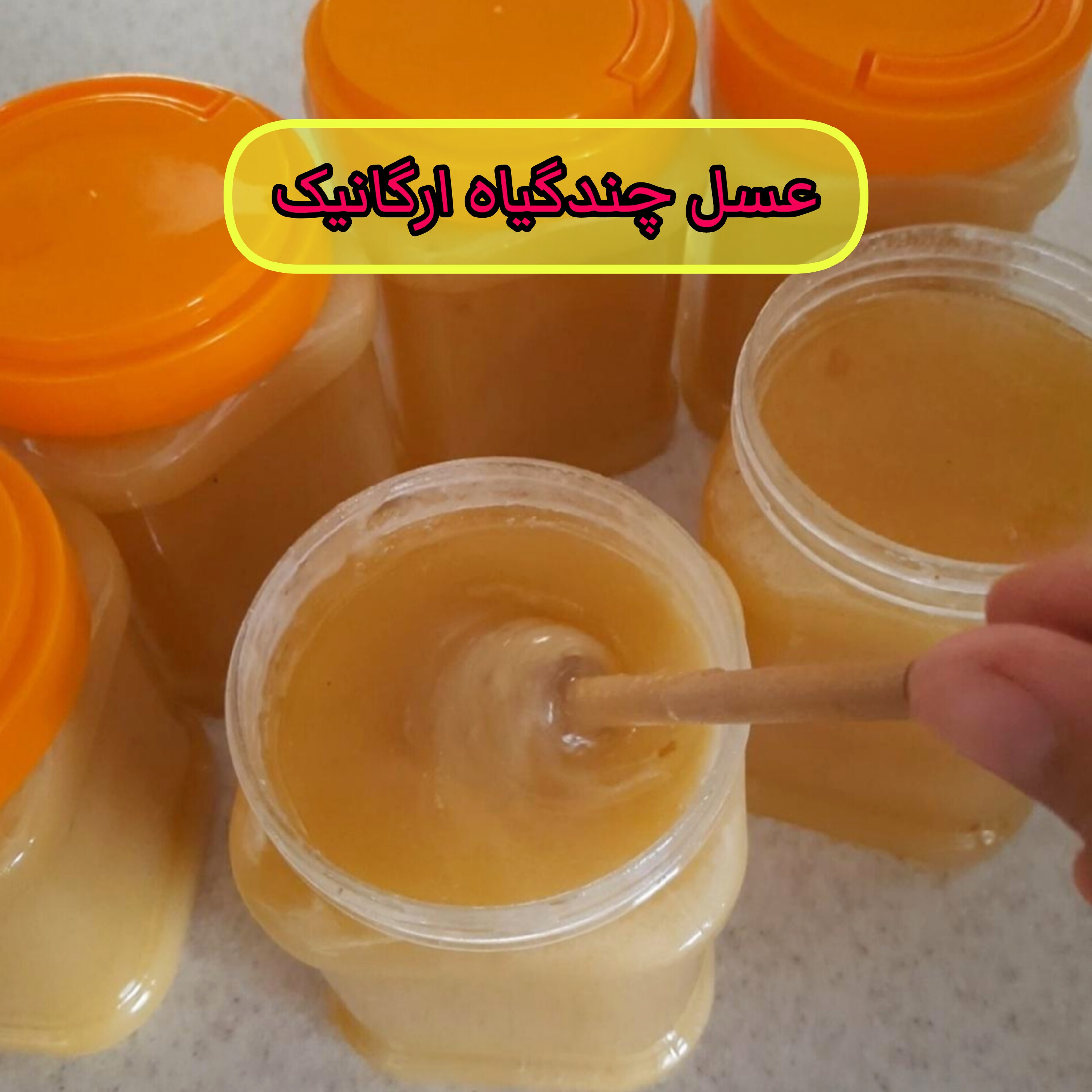 عسل طبیعی چندگیاه رس بسته ساکاروز زیر 2 اصل 1 کیلویی -کوهی (خرید مستقیم از زنبوردار) ارسال رایگان