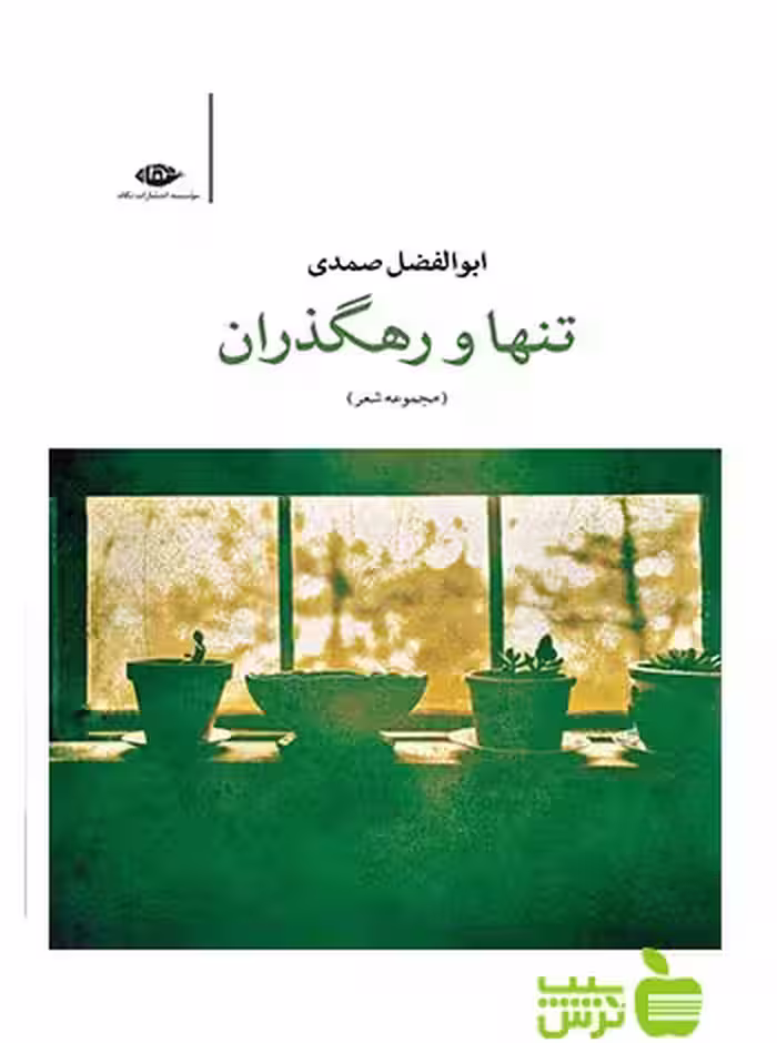 تنها و رهگذران ابوالفضل صمدی نگاه - سیب ترش - SibTorsh ابوالفضل صمدی