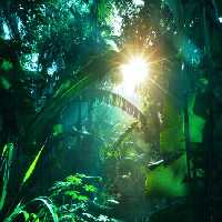 خرید و دانلود عکس Nature-Part-6 کد 37040 | پیک فاکس | Pic Fox