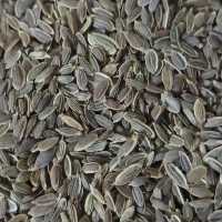 تخم شوید ایرانی یک کیلویی