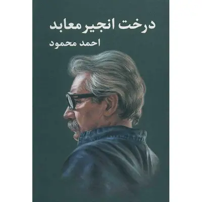 کتاب درخت انجیر معابد اثر احمد محمود - دو جلدی