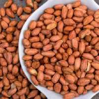 بادام زمینی بدون پوست خام،تازه،سالم و پرانرژی،مناسب تنقلات و کره بادام زمینی(500 گرم)