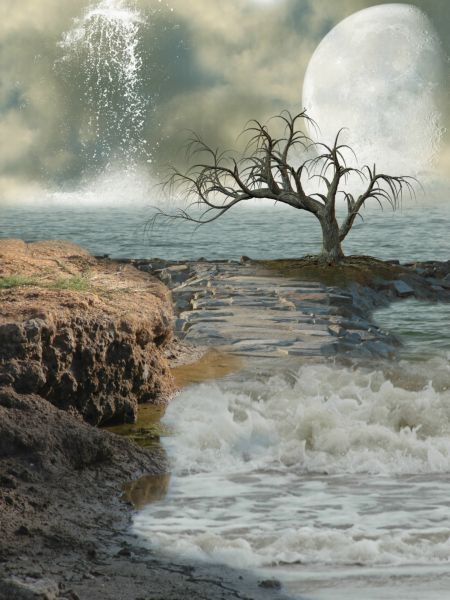 خرید و دانلود عکس Misc-Part-5 کد 34044 | پیک فاکس | Pic Fox