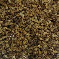 کنجدقهوهای پاکستانی باکیفیت