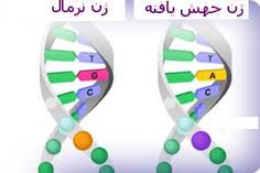 دانلود فایل بررسی جهش(جهش ژنتیکی)