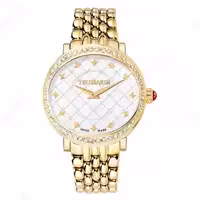 ساعت مچی زنانه تروساردی (Trussardi)| مدل TR-R2453106502