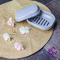 جاصابون زیبا ساویس