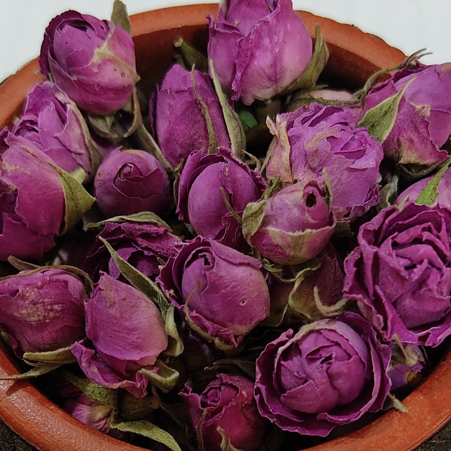  غنچه گل محمدی