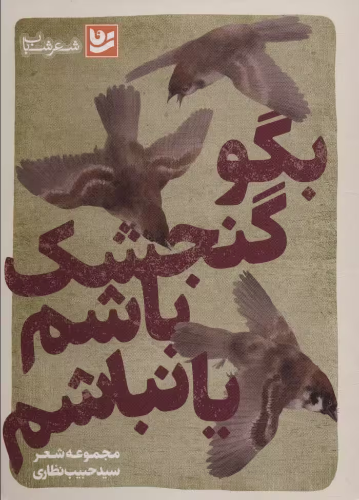 بگو گنجشک باشم یا نباشم (شعر شباب29) - ناشربوک | خرید آنلاین کتاب