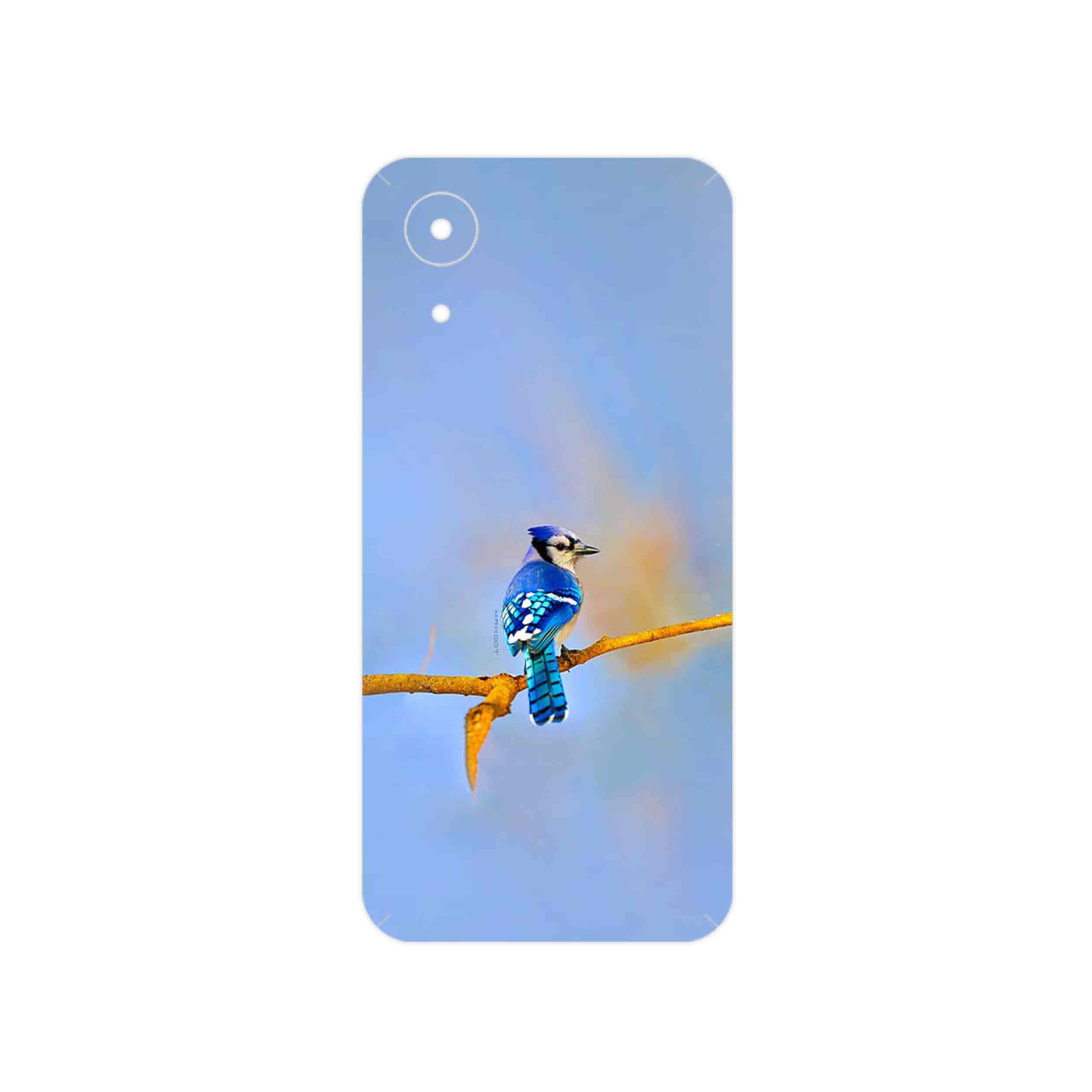 برچسب پوششی ماهوت مدل Cyanocitta cristata مناسب برای گوشی موبایل سامسونگ Galaxy A03 Core