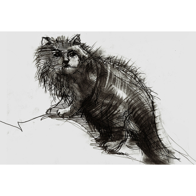 تابلو شاسی طرح نقاشی سیاه قلم گربه مدل T2152 | دنیای قاب