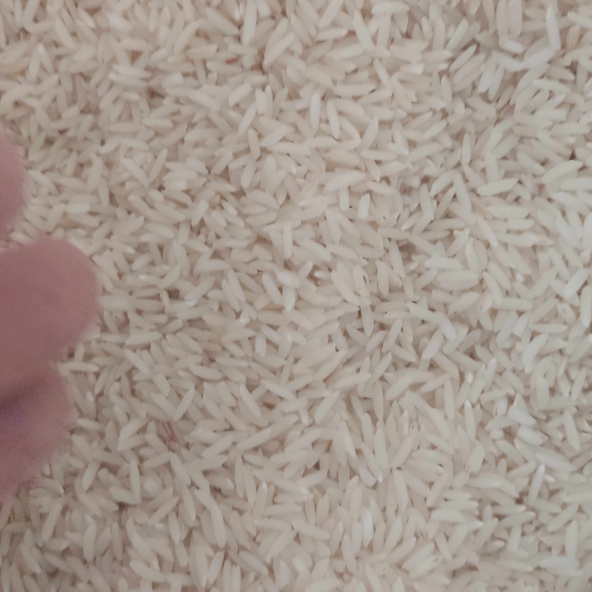 بزنج هاشمی درجه1 بسته بندی (7نیم کیلویی)