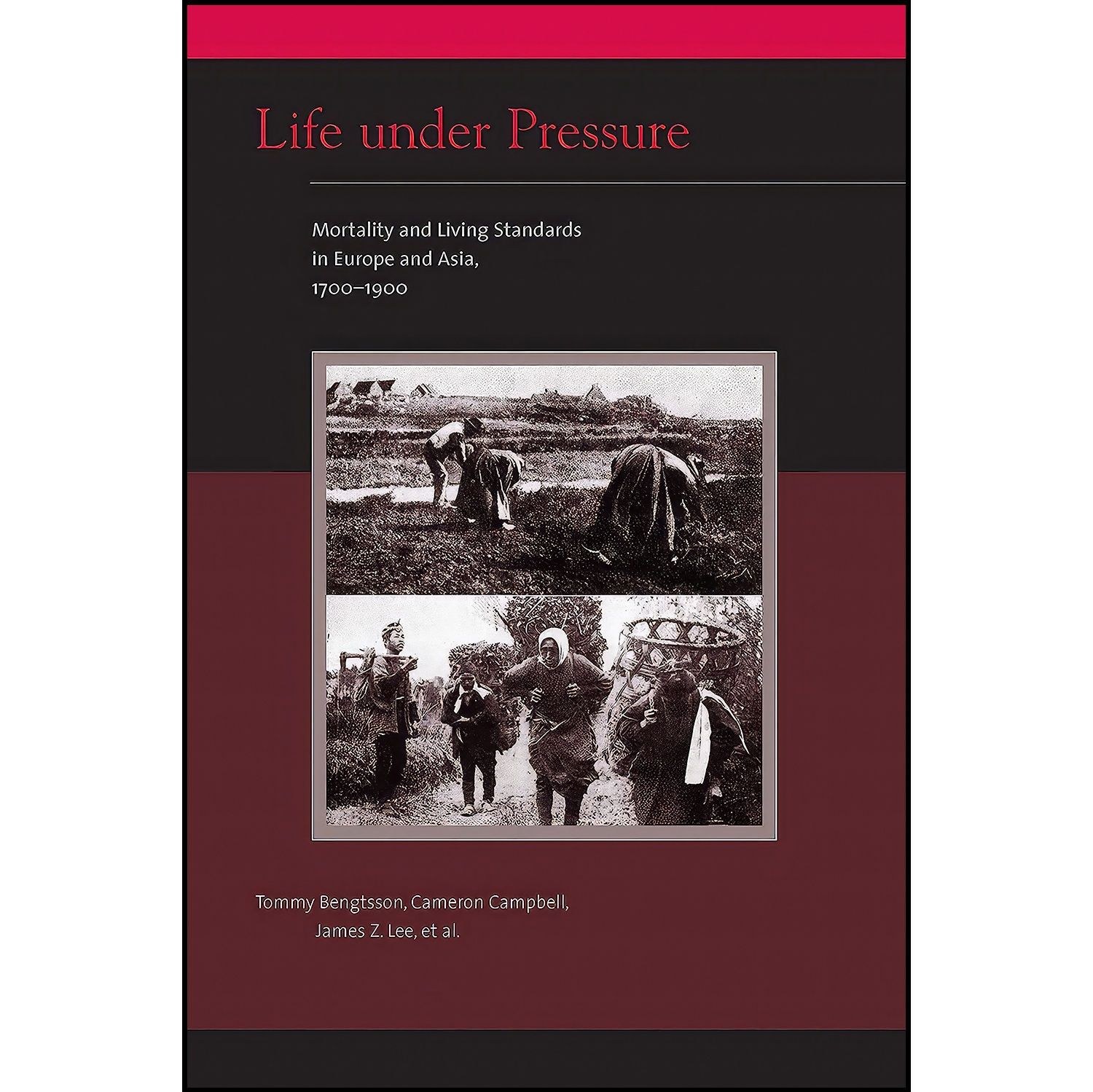 کتاب زبان اصلی Life under Pressure اثر جمعی از نویسندگان