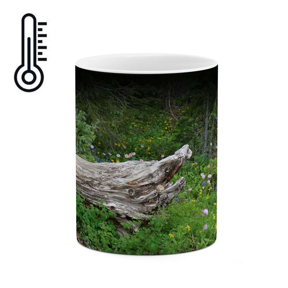 ماگ حرارتی طرح طبیعت و حیات وحش زیبا  مدل mgph14730