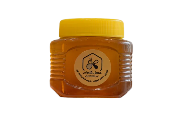 عسل شیرتیزه بهاره – 500 گرم