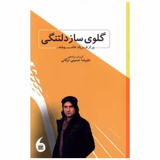 کتاب گلوی ساز دلتنگی اثر علیرضا حسینی