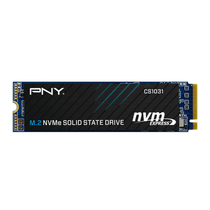 اس اس دی پی ان وای CS1031 M.2 2280 NVMe 256GB