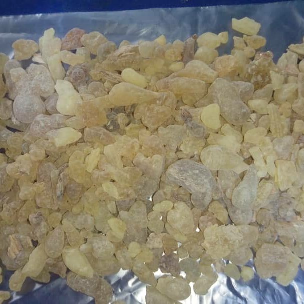 کندر اعلاء یک سیر 