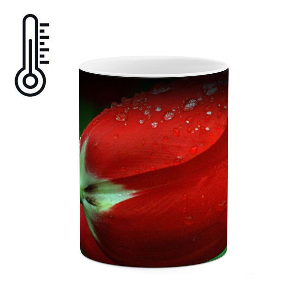 ماگ حرارتی طرح گل رز مدل mgh11983