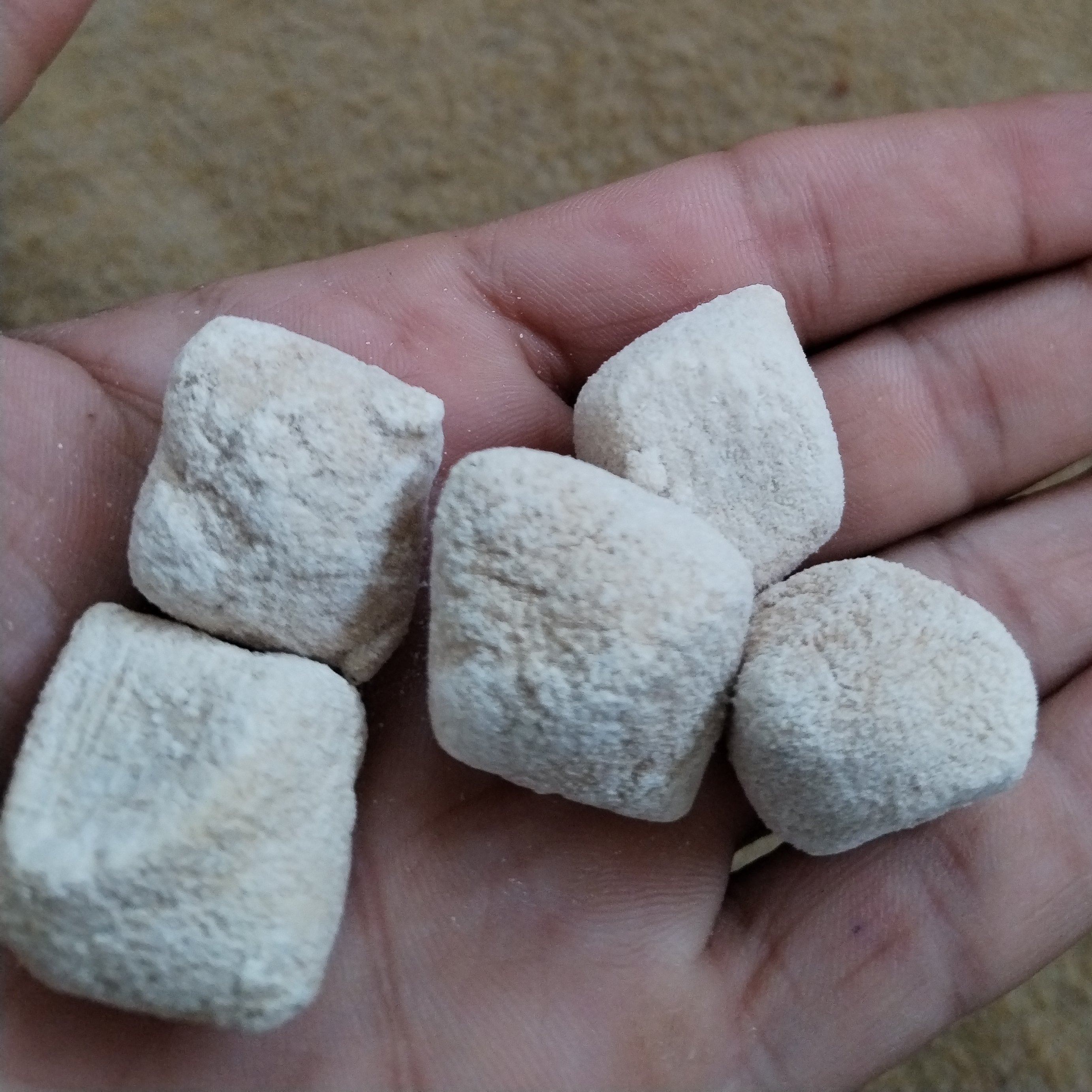 کشک محلی خوشمزه اصل روستایی
