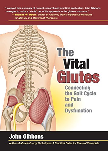  دانلود کتاب The Vital Glutes - Connecting the Gait Cycle to Pain and Dysfunction, 2014 - دانلود کتاب های دانشگاهی