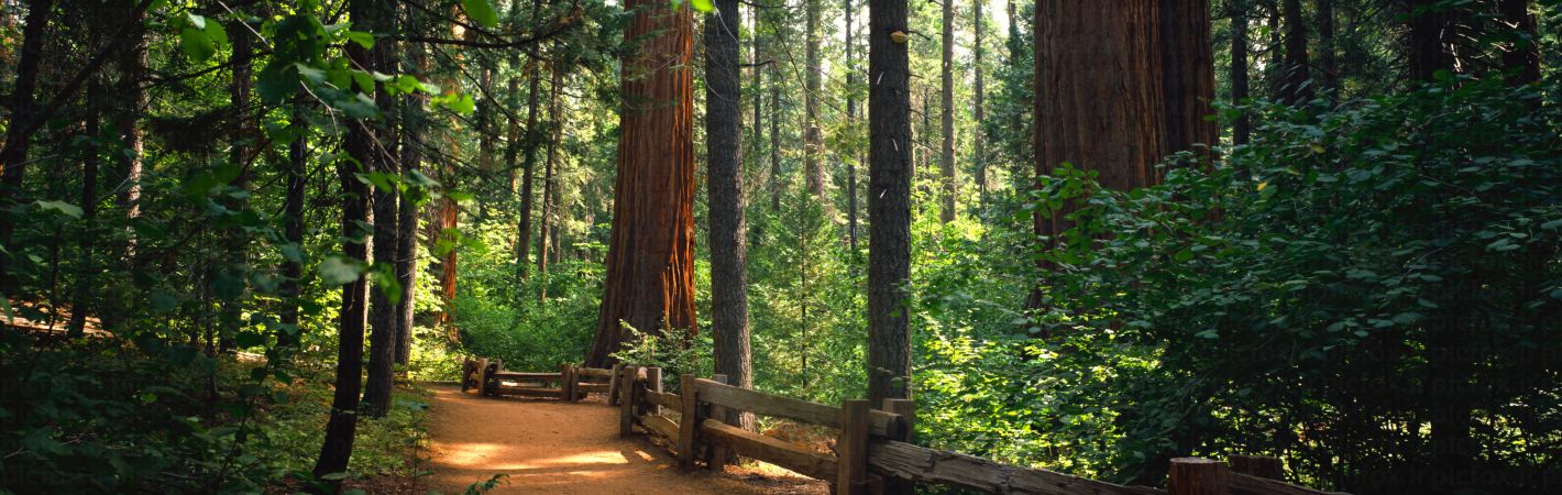 خرید و دانلود عکس IranBCS کد 28356 | پیک فاکس | Pic Fox