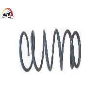 فنر لول عقب ام وی ام 550 (اصلی)