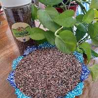 چهارتخم شربتی (500 گرم) با بسته بندی