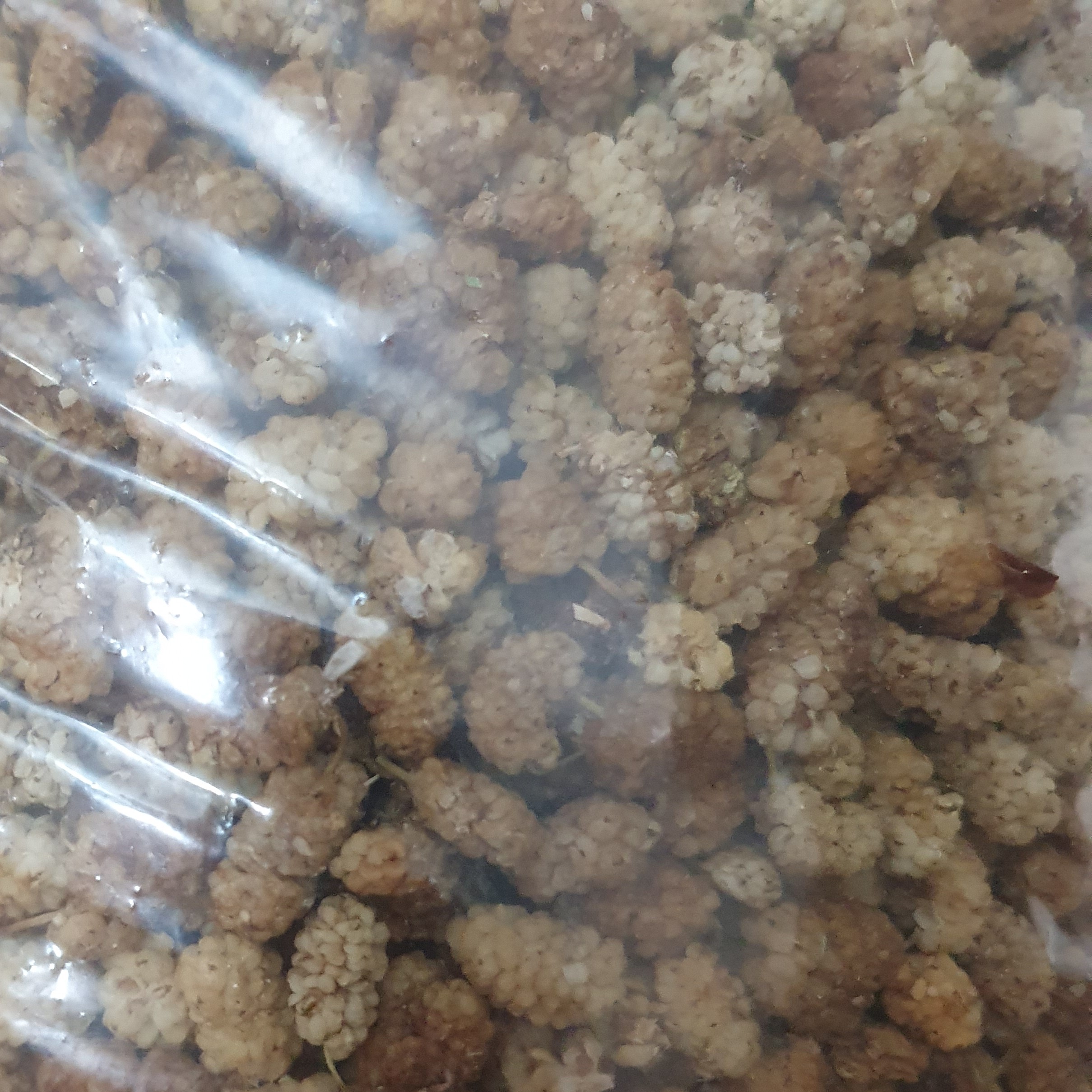توت خشک