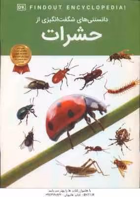 حشرات ( آندریا میلز – آرین رمضانی ) دانستنی های شگفت انگیزی