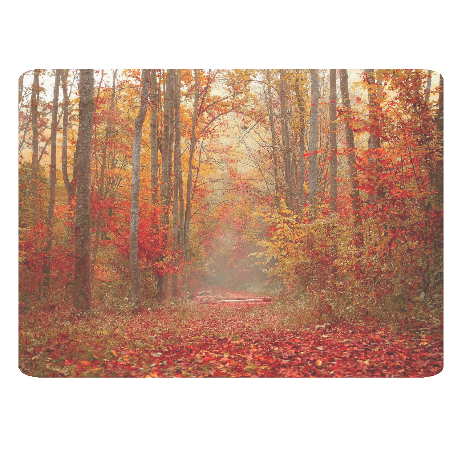 ماوس پد طرح طبیعت کد B413