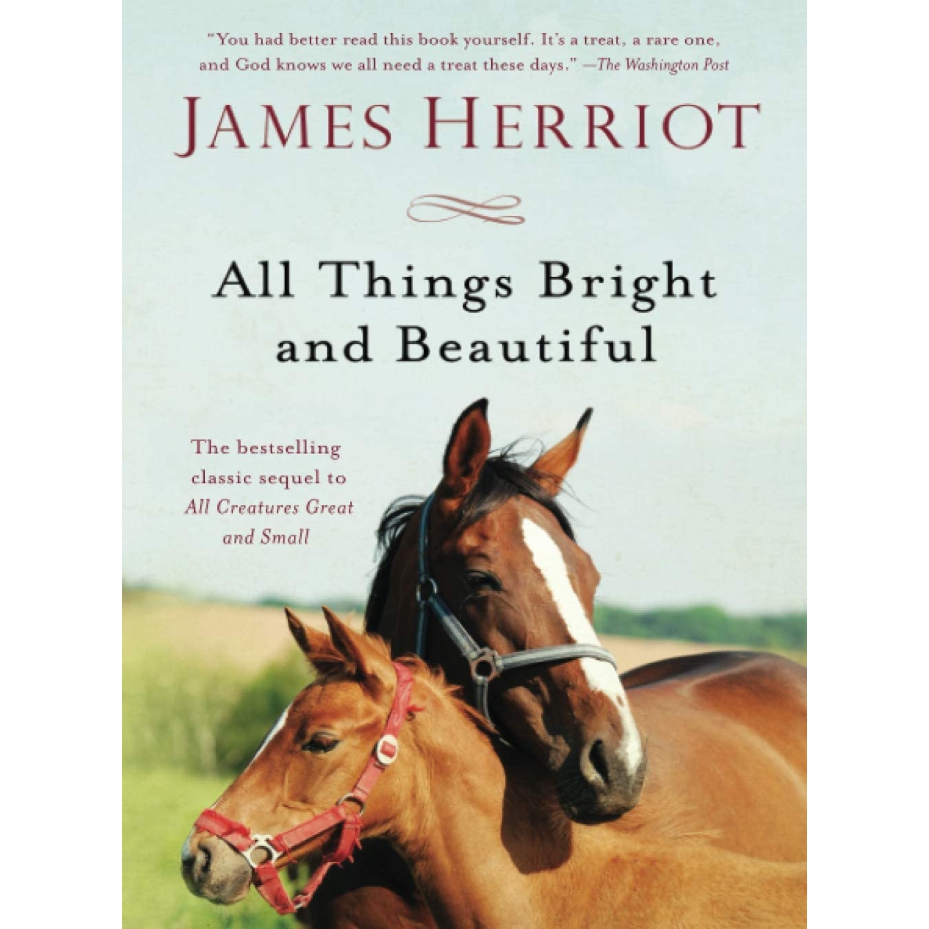 کتاب All Things Bright and Beautiful اثر James Herriot انتشارات Griffin
