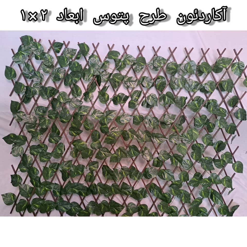 آکاردئونی برگ پتوس ابعاد یک در دو 