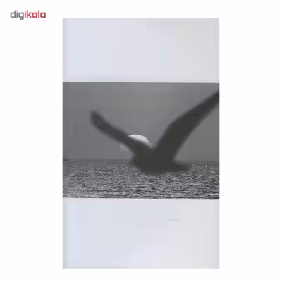کتاب جاناتان مرغ دریایی اثر ریچارد باخ