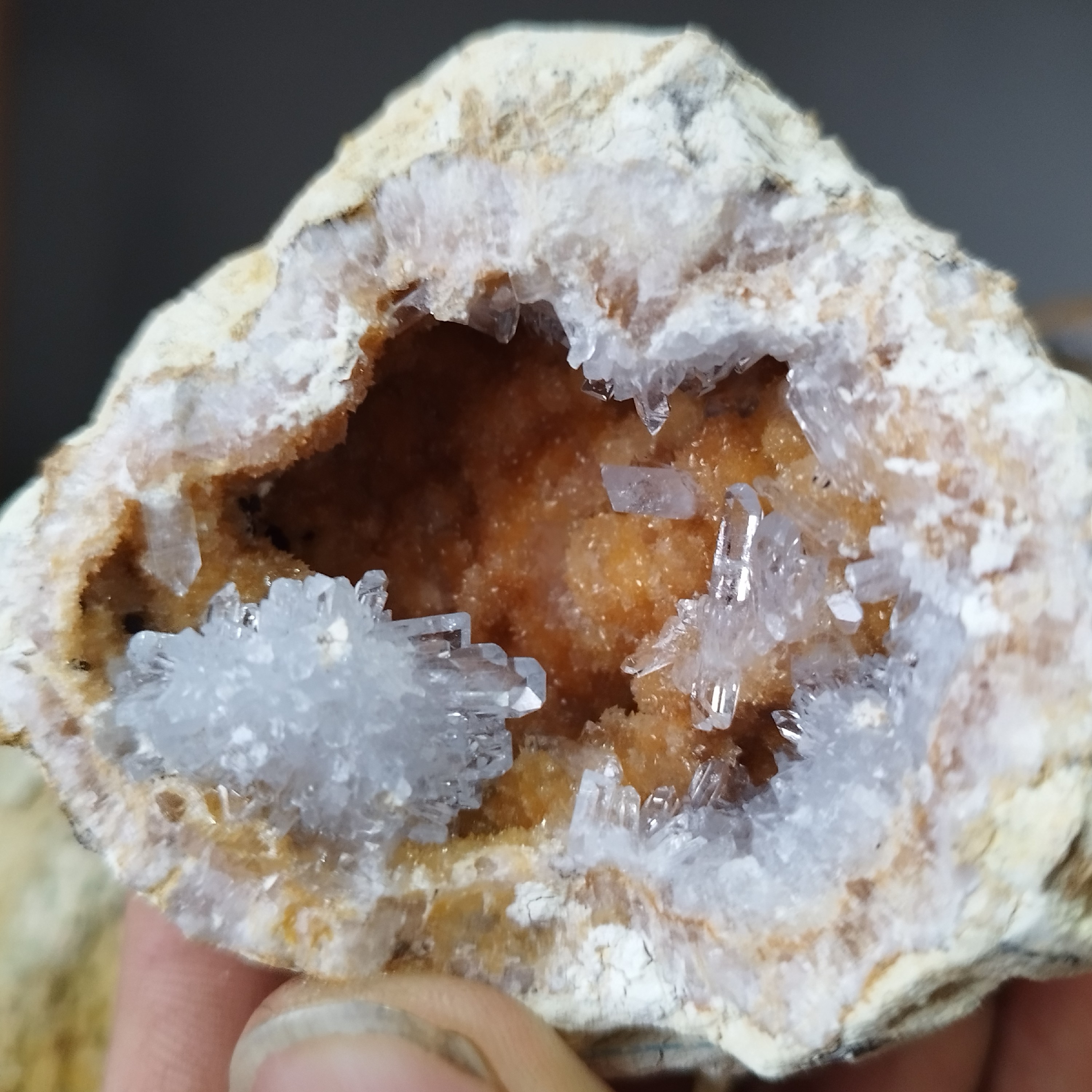 راف ژعودسلستین با زمینه ی نارنجی نمونه خاص وکمیاب 