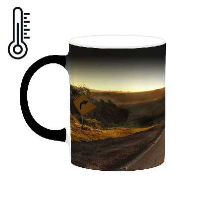 ماگ حرارتی کاکتی طرح فانتزی مدل mgh20561