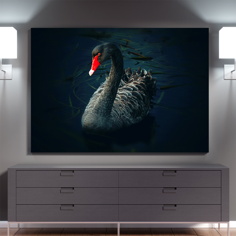 تابلو شاسی طرح قو سیاه کد BLD-an227