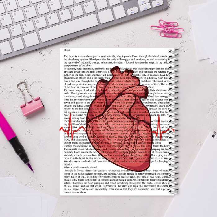 دفتر مشق 100 برگ مدل قلب کد 3 | چاوه