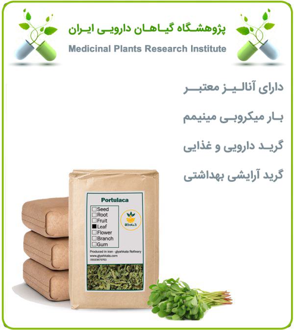 گیاه خرفه خشک فله