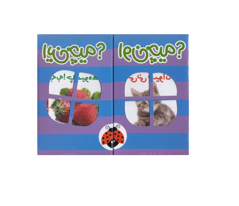 کتاب این چیه اون چیه مجموعه 6 جلدی