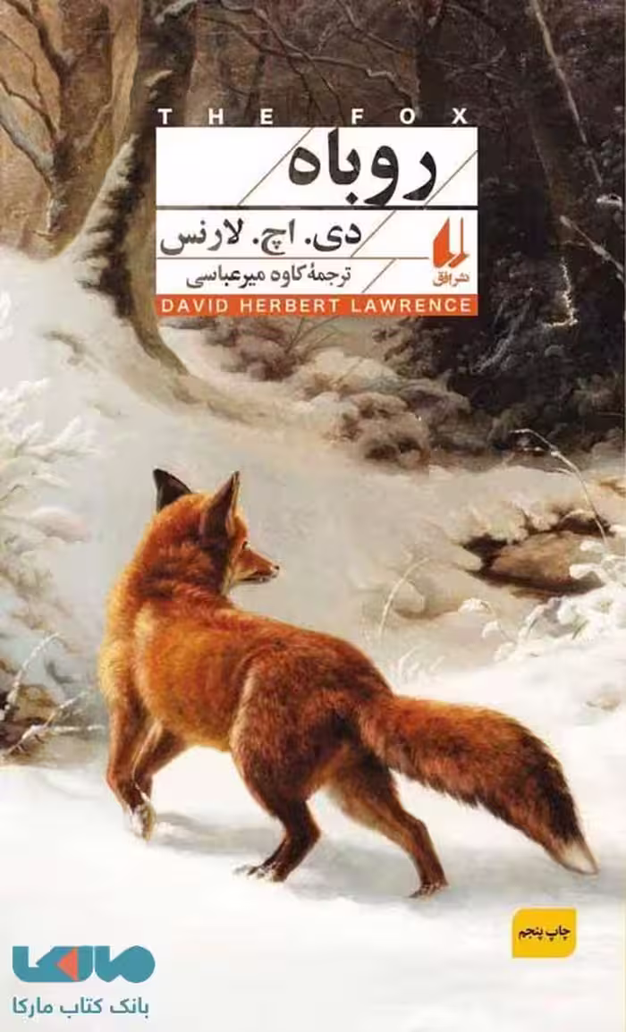 کلاسیک 11 (روباه) افق