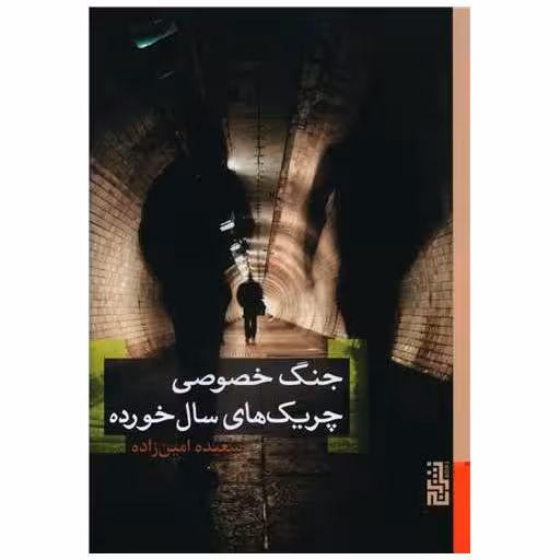 کتاب جنگ خصوصی چریک‌های سال‌خورده اثر سعیده امین زاده